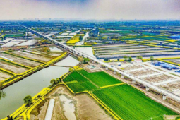 連淮揚(yáng)鎮(zhèn)鐵路揚(yáng)州段鋪軌全部結(jié)束